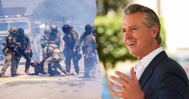 Newsom rips pot farm raids as cartels, Chinese adversaries infiltrate grow operations endangering Americans