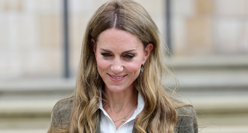 No one is confronting the comments about Kate's hair - so I will
