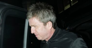 Noel Gallagher joins Lily Allen to celebrate last Oasis UK show