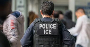 North Carolina city declares itself a 'Fourth Amendment Workplace' to protect illegal immigrants from ICE