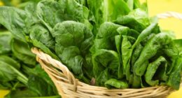 Nutritionist says green ingredient will cut cholesterol and blood pressure