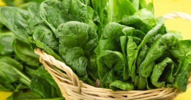 Nutritionist says green ingredient will cut cholesterol and blood pressure