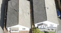 OAP forced to sell her £420K home after losing 5-year fence dispute