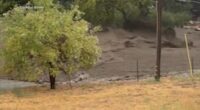 Oak Glen flooding today: Southern California mudslides trap drivers, cause damage in Forest Falls, San Bernardino County and more