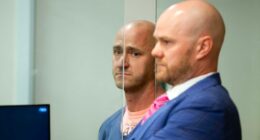 Off-duty pilot who tried shutting down engines after taking psychedelic mushrooms pleads guilty