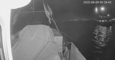 Officials reject Gaza flotilla's claim that it was bombed: 'No basis in truth'
