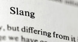 Ohio, 6-7, Bop and Mogging are slang words: Here's what they mean