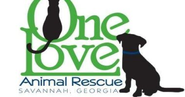 One Love Animal Rescue to host free vaccinations and adoption events