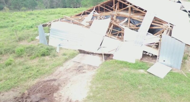 One year after Hurricane Helene, Georgia farmers still await federal relief