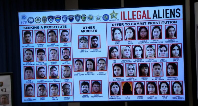 Operation 'Fool Around and Find Out - Again' leads to 246 arrests, Sheriff Judd says