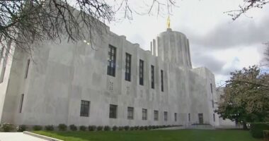 Oregon lawmakers to propose ban on 'secret police' in state