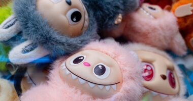 Over $500,000 worth of fake Labubu dolls intercepted at Seattle airport, CBP says