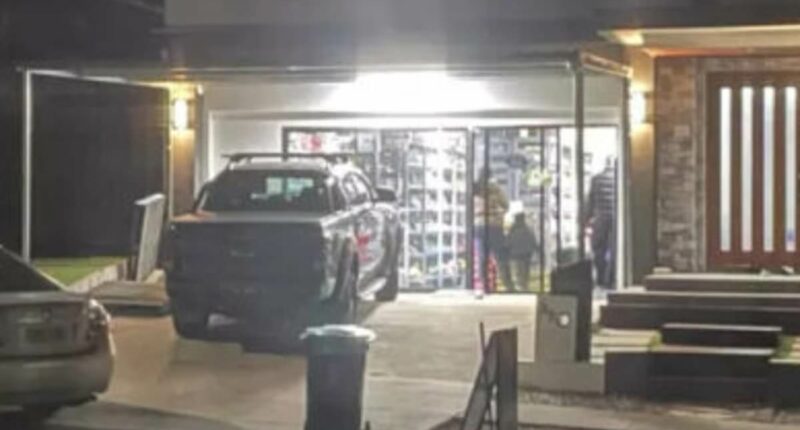 Owner of grocery store that opened up in a suburban garage lashes out