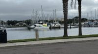 PSTA to hold public budget meeting; future of ferries up for discussion