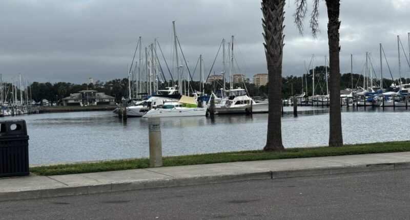 PSTA to hold public budget meeting; future of ferries up for discussion