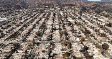 Pacific Palisades fire: Documents reveal cover-up, predeployment, response failures