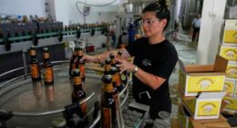 Palestinian beer defies the odds and goes on sale in Britain with help from Scottish brewer
