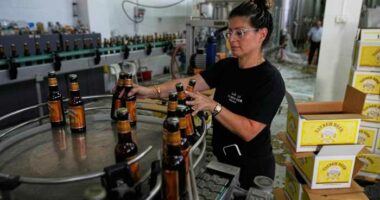 Palestinian beer defies the odds and goes on sale in Britain with help from Scottish brewer