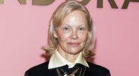 Pamela Anderson and her sons teaming up for TV reboot of iconic film