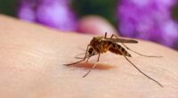Panic in Spain as first case of deadly disease confirmed in holiday hotspot