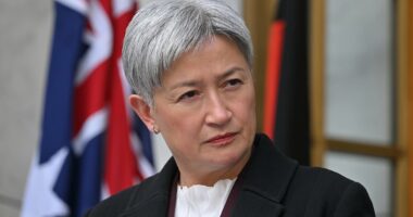 Penny Wong and Donald Trump finally AGREE on something
