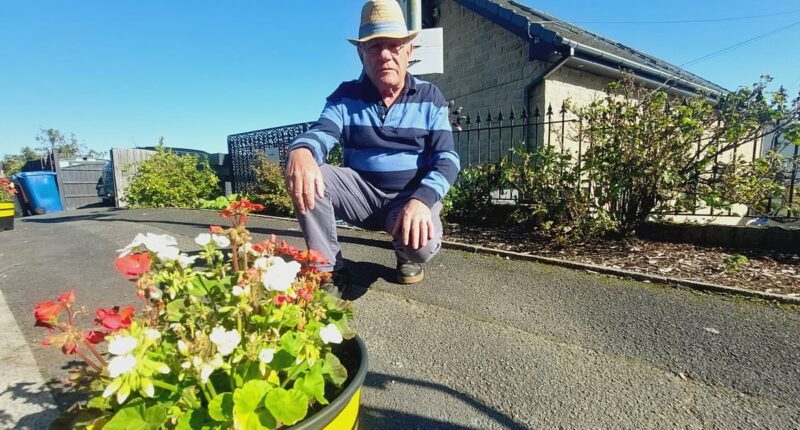 Pensioner fights council after being told to remove three plant pots