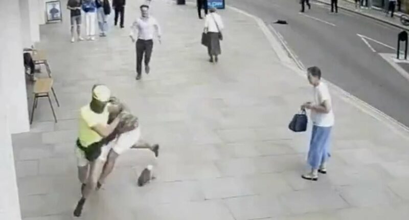 Phone snatcher who received karma when he was knocked off bike jailed