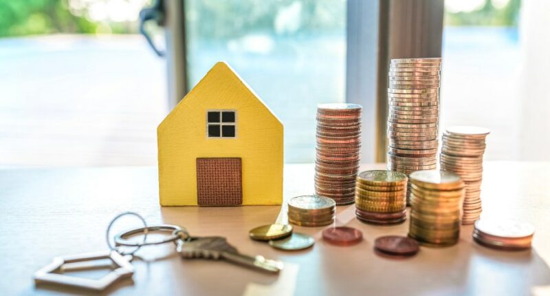 Pinellas County Commission passes tentative budget with lower property tax rate