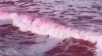 Pink dye tracks pollution at California beach