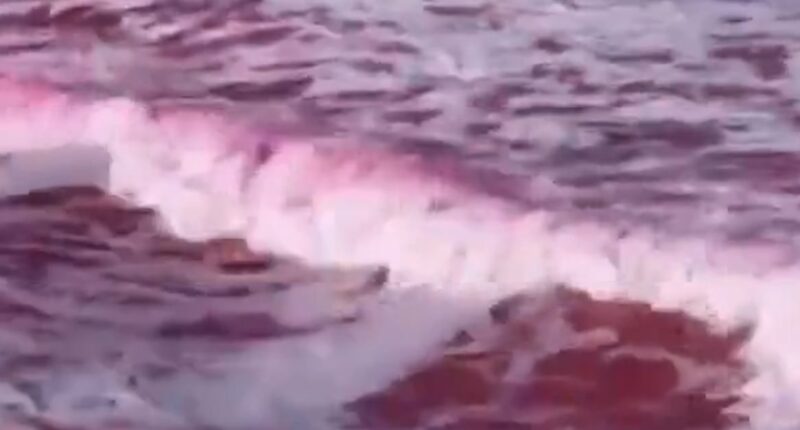 Pink dye tracks pollution at California beach