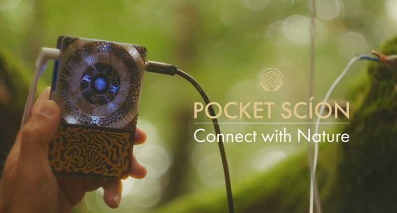 Pocket Scion is a synth you play with plants