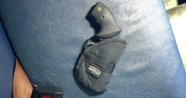 Police: Ocala 9-year-old arrested for bringing loaded gun onto school bus