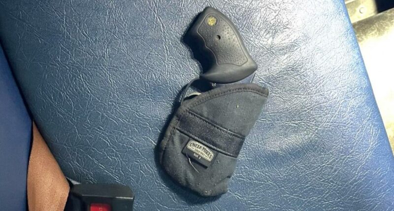 Police: Ocala 9-year-old arrested for bringing loaded gun onto school bus