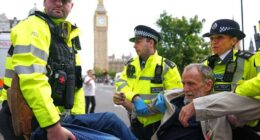 Police detain London demonstrators supporting banned group Palestine Action