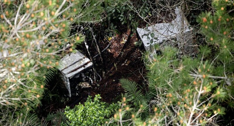 A shocking new aerial image from the New Zealand bush has sparked speculation that fugitive father Tom Phillips may have built or made use of a makeshift dwelling, complete with electricity, for his three children in the remote wilderness.