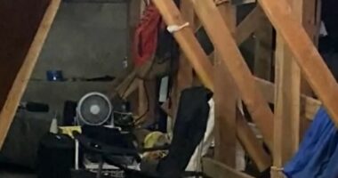 Police find man secretly lived in condo crawl space