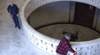 Police release video of men who 'permanently' damaged Anzac Memorial