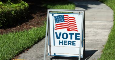 Polls open in Tampa City Council District 5 special election