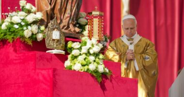 Pope Leo XIV declares Carlo Acutis as first millennial saint
