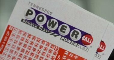 Powerball drawing: Can I buy tickets online?