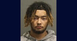 Pregnant girlfriend attacked, almost stabbed in stomach: DA