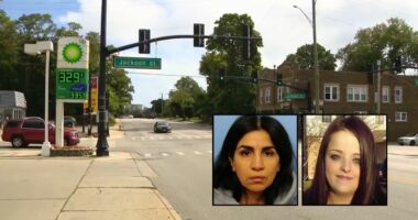 Pregnant mom crossing street killed in hit-and-run: Cops