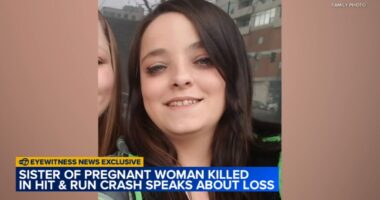 Pregnant woman Michelle Heidbrick killed in hit-and-run crash near Grand Avenue and Jackson Street in Waukegan, Illinois: coroner