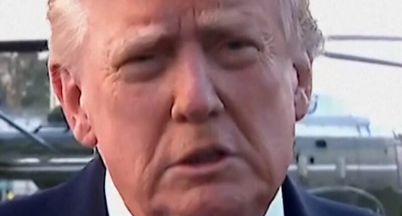 President Trump criticizes left-wing 'agitators'