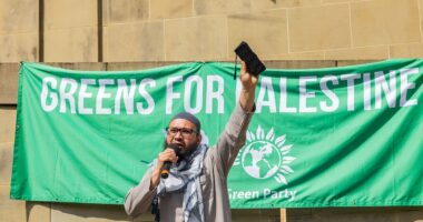 Pressure on Green Party's leader to sack deputy for defending Hamas