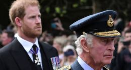 Prince Harry Visits the UK: Will He Meet With King Charles?