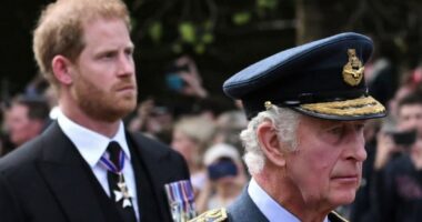 Prince Harry Visits the UK: Will He Meet With King Charles?