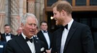 Prince Harry blames 'men in grey suits' for sabotaging reunion with his father in extraordinary echo of his mother's criticism of shadowy courtiers