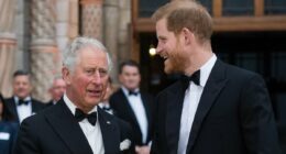 Prince Harry blames 'men in grey suits' for sabotaging reunion with his father in extraordinary echo of his mother's criticism of shadowy courtiers