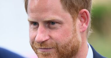 Prince Harry 'taken by surprise' at 'formal' reunion with King Charles